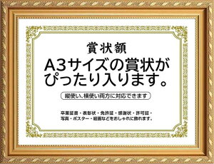 �܏�z�� ���� �t�H�g�t���[�� �ʐ^���� �ʐ^���� A4�EA3�T�C�Y ���F �Ǌ|�� �c���Ή� �񂹏��� ���J�� �F�菑 ���ӏ� �C���� ���Ə؏� �\����z��?������ �u���C�_�� �|�X�^�[ �Ƒ��ʐ^ ?