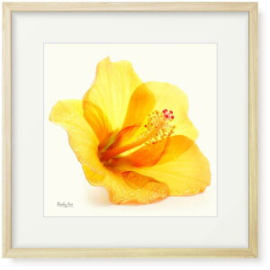 �G��u�J�オ��̃n�C�r�X�J�X�v�C���e���A �G �� �A�[�g�p�l�� �z����(�c32cm x ��32cm)