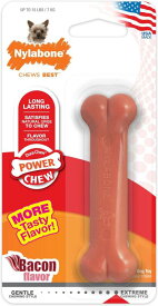 Nylabone Durachew ベーコン ブリスターカード プチ