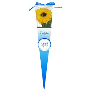 �L���[�t��(Q-FLA) �\�[�v�t�����[ ������ �o�X�t���O�������X �q�}���� �P���[ �C�G���[ 1�� ��̓� �M�t�g 769009