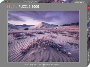 1000�s�[�X HEYE Puzzle�E�w�C�p�Y�� Ed. Humboldt : Arrow Dynamic 50×70cm 29945