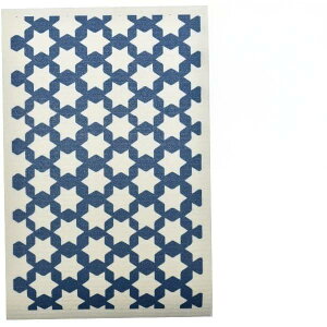 BLITZ �u���b�c 100%�V�R�@�� �h�C�c�̃t�L�� �Z�p�� ��ӂ���