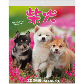 アクティブコーポレーション 2026 カレンダー 壁掛け 森田米雄 まるごと柴犬 26ACL-11 2026年 1月始まり