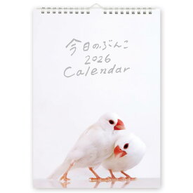 今日のぶんこ カレンダー A4 壁掛け タイプ 2026年 1月はじまり