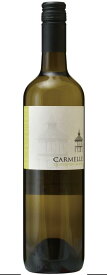 ヴィノヴァリー カルメル　ソーヴィニヨン 2021 フランス/南西地方/白ワイン/750ml