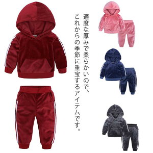 g q ZbgAbv X|[cEFA LbY t[X ㉺Zbg X|[cEFA [EFA  JWA _炩 h ӂӂ JWAZbgAbv t[ht 