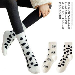  C \bNX  킢 g [\bNX  o^Cf[  p_ IV h ۉ    fB[X ӂӂ v[g M