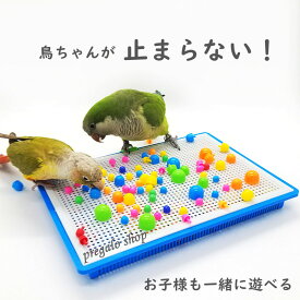 鳥のおもちゃ 鳥用玩具 プラスチック オカメインコ インコ おもちゃ バードトイ 鳥 小鳥 ストレス解消 セキセイインコ ルリゴシボタンインコ ウロコインコ 小型のインコ 鳥用おもちゃ 鳥用品 鳥グッズ 玩具 chongwuwanju-4396 海外通販