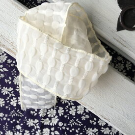 【50cm】モノトーンリボン 幅5cm レース 刺繍 レースリボン 刺繍リボン マスクカバー リボン ピアス イヤリング ハンドメイド 手芸 アクセサリー 材料 素材 パーツ 手芸 チャーム 問屋　ニューボーンフォト　撮影小物ヘアゴム 商用