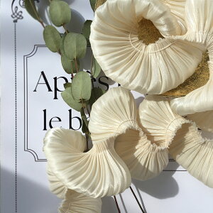 y50cmz Te`[uv[c{@5cm@u[h@IP[W@h[ ߑ [b^  sAX CO nhCh | ANZT[ ޗ f p[c | ob