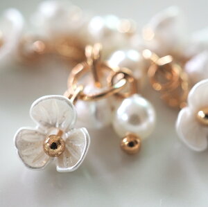 y2zp[tt[p[c@p[@^@ANZT[p[c f ޗ RlN^[ Xy[T[ r[Y sAX p[c i {[ ؂₩ i l| nhCh ≮@