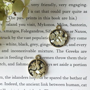 y2zɏKXr[YTUΎgpEhp[c ^[RCY`[ gR ΁@f ޗ RlN^[ Xy[T[ r[Y sAX p[c i {[ ؂₩ i l| 