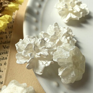 y2zJ[l[V\p[c@\t@ʃtbg t[@ԁ@ԁ@@zCg@}bg@| p[c sAX ANZT[ CO ≮@킢@ @