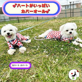 【200円offクーポン有】犬服 夏 接触冷感 カバーオール ロンパース ハートがいっぱい UV pooches プーチーズ つなぎ 汚れ防止 SS/S/M/L/LL 日本製 アウトドア 水遊び お散歩 ドッグラン スルスル生地 着やすい おしゃれ かわいい 速乾 縦横伸び率200％ トイプー 小型犬 足付