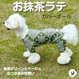 【200円offクーポン有】 犬服 夏 接触冷感 カバーオール ロンパース お抹茶ラテ プーチーズ つなぎ UV ドッグウェア ドッグラン 日本製 SS/S/M/L/LL 散歩 汚れ防止 皮膚保護 トイプー 小型犬 アウトドア 水遊び おしゃれ かわいい 着せやすい 雄雌 犬 服 長袖 足付 送料込