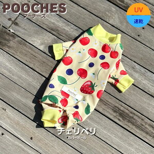 yr[e200~N[|z  Jo[I[ p[X `Fx v[`[Y UV hbOEFA Ȃ hbO { SS/S/M/L/LL U h~ 畆ی gCv[ ^ AEg