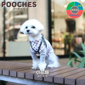 yr[e200~N[|z Ȃ Jo[I[ p[X Ԕ v[`[Y  I[V[Y { hbOEFA S/M/L U h~ ^ hbO  킢 