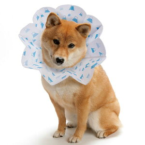 犬 エリザベスカラーの通販 価格比較 価格 Com