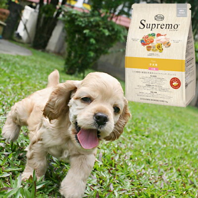 楽天市場 ニュートロ シュプレモ Supremo 超小型犬4kg以下用 成犬用 4kg 5000円以上で送料無料 あす楽対応 犬 ドッグフード チキン 小粒 成犬 トイプードルのスマイル