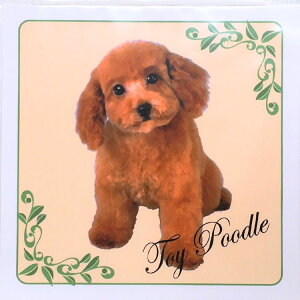 ybgA[g XebJ[ L (v[h) GEG