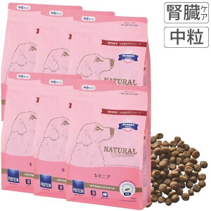 i`n[xXg LhjA tacHÖ@H t[h hbOt[h tPA 