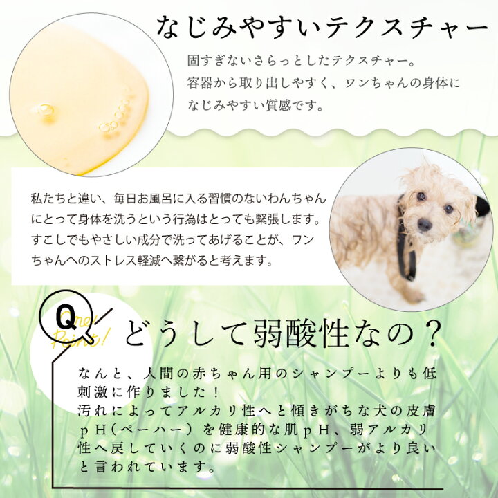 楽天市場 お試しサイズ シャンプー コンデイショナーセット Amino 100ml当店トリミングで使用 あす楽対応 ペットシャンプー ペット用シャンプー 犬 シャンプー 犬用シャンプー 猫用シャンプー 代引き不可 エコパックのみ メール便のみ いぬとねこのトイスマ