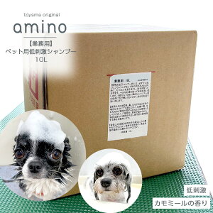 yƖpz L hVv[ amino 10L  Vv[ L Vv[ A~m_ ybgVv[ h ɗD Xg~OŎgp