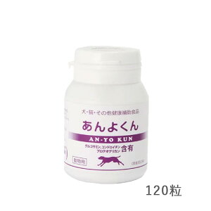 悭 120 XPANE  L ֐߃PA ybgTvg ORT~ RhC` R[Q