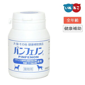 ptFm 120 XPANE L I[Xe[W N⏕ 畆 AM[ VjA Tvg ybgpTvg