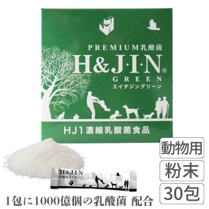 H&JIN _ GC`WO[ 30  L Tvg HJIN _ ɂ₳