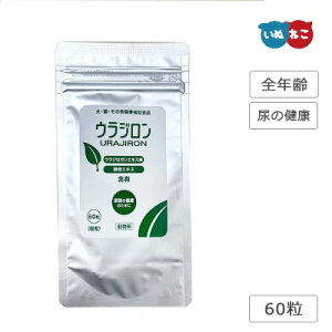 EW 60 XPANE L̔A tPA  L Tvg ybgTvg