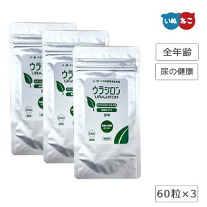 EW 60×3Zbg XPANE L̔A tPA  L Tvg ybgTvg