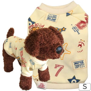 D's Chat(fB[Y`bg) |bvvgg[i[ STCY 肩 JWA  ~