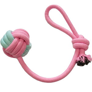 [N [v mbeB[ pXeXO@ hbO tFbg L ybg  gC [v pXe 킢 f^ ݂ v ^s XgX ݂