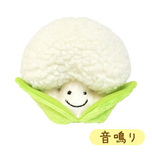 xXgGo[ XNC[L[ Pet Toy Jt[yzyz hbO tFbg ybgObY ybgpi ʂ I` XgX 킢 ʐ^f j[N 