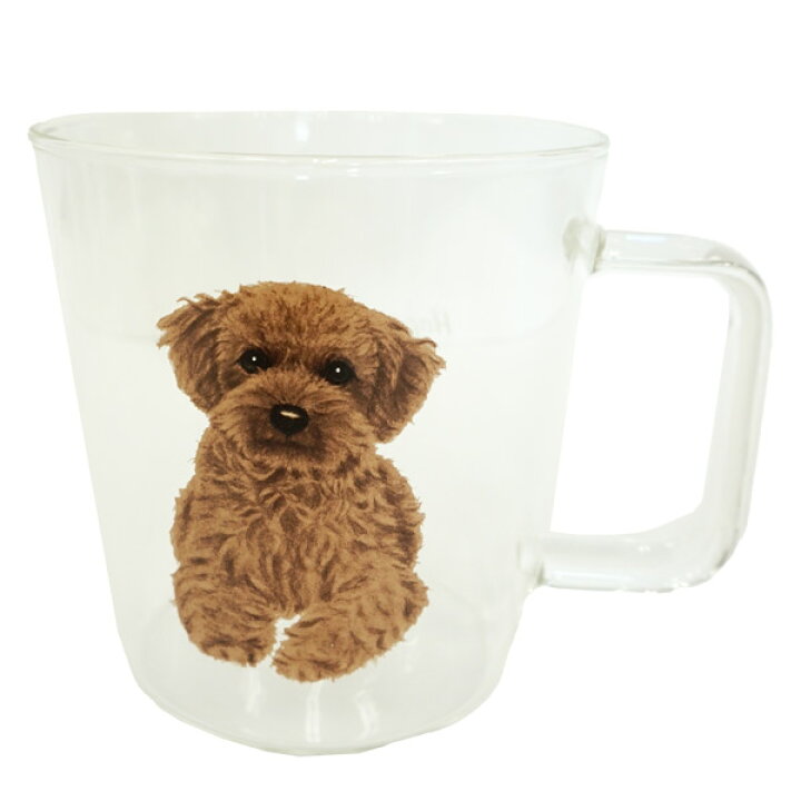 20240419toypoodle.jpg?fitin= 