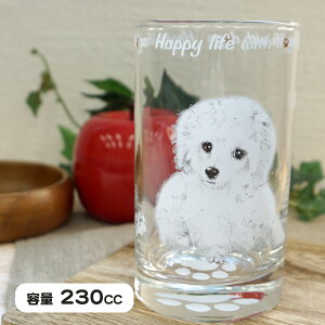 R KX^u[ v[hiS16jv[h gCv[h  G KX H OX Rbv ^u[ 킢 Mtg v[g