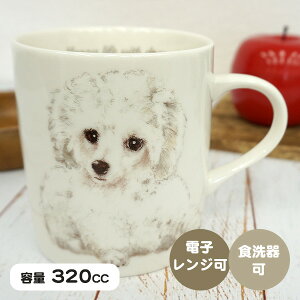 R }OJbv v[hiS16jv[h gCv[h  G }OJbv Rbv Jbv  킢 Mtg v[g