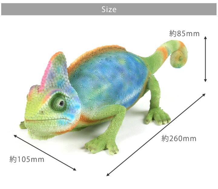 楽天市場 ペットバンク カメレオン 雑貨 貯金箱 オーナーグッズ 置き物 オブジェ インテリア ガーデン かわいい リアル カメレオン 爬虫類 エボシ カメレオン プードルチャンネル楽天市場店