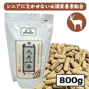  iRPqj800gyYzySYz t[hhbOt[h VjA  S Y Hׂ₷  ֐ AM[ hCt[h  SXe[W I[Xe