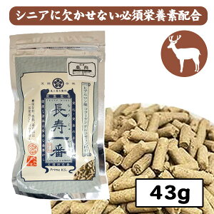 yz iRPqj43gyYzySYz t[hhbOt[h VjA  S Y Hׂ₷  ֐ AM[ hCt[h  SXe[W 