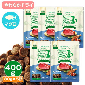 ������������ �}�O�� ���炩�h���C�^�C�v�y400g�i80g×5�܁j�zyum yum yum�I�y���Y�z�y�b��t�ďC�z(F2)�� �h�b�O �t�[�h �h���C�t�[�h ���͂� �a �G�T �����h�{�H �܂��� �� �S�N�� �I�[���X�e