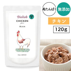 rII[u(w}) sAE`L 120g hbO t[h ͂ VjA nCVjA  V gbsO  EFbg gg Y F { ^pNy[։z