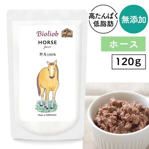 rII[u(w}) sAEz[X 120g hbO t[h ͂ VjA nCVjA  V gbsO  EFbg gg Y F n ^pN ᎉb J