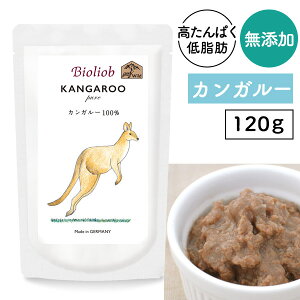 rII[u(w}) sAEJK[ 120g hbO t[h ͂ VjA nCVjA  V gbsO  EFbg gg Y F ^pN  b J[