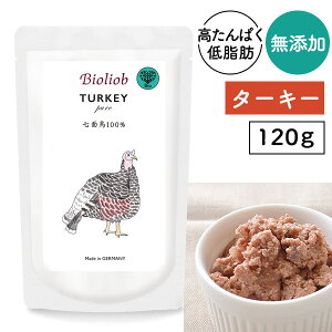 rII[u(w}) sAE^[L[ 120g hbO t[h ͂ VjA nCVjA  V gbsO  EFbg gg Y F ʒ ^pN ᎉb J