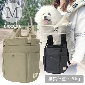 LIP1011@L[3|Pbg@MTCYyzyybgL[zy2WAYz@ hbO ybg L[obO L[P[X bN^L[@L[ pL[o