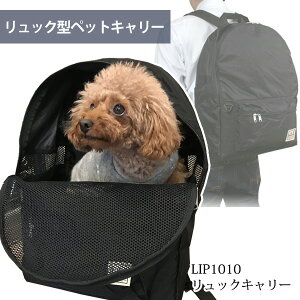 LIP1010 bNL[yzyybgL[zyyʁz hbO ybg L[P[X bN^L[ bV ^ pL[obO LpL[obO tF