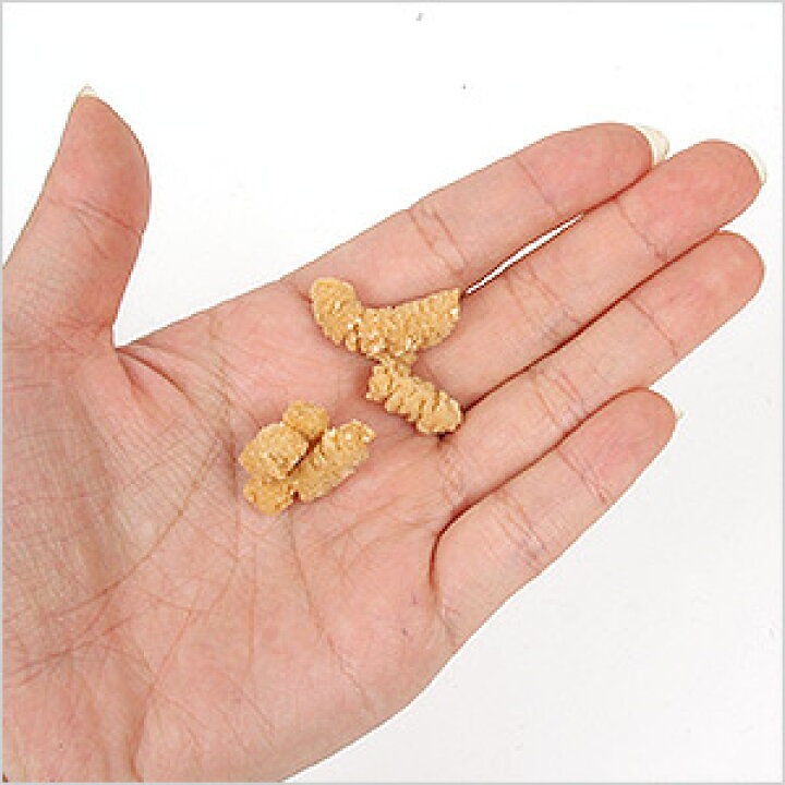 楽天市場 ゆうパケットok メール便 Flf 生乳ドライヨーグルト アロル ビッツ 30g F2 完全無添加 犬 ドッグ フード ご飯 エサ 餌 オヤツ おやつ 健康維持 ビスケット クッキー スナック 乳酸菌 無添加 乳製品 ヨーグルト 安全 便秘 下痢 被毛 プードル