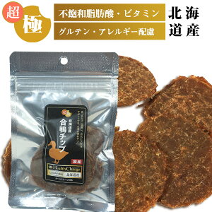 ɂ kCY `bv 20g wX`[WV[YyYzyYz hbO tFbg L  t[h  GT Ic  Yf Y Tvg Nێ IK3